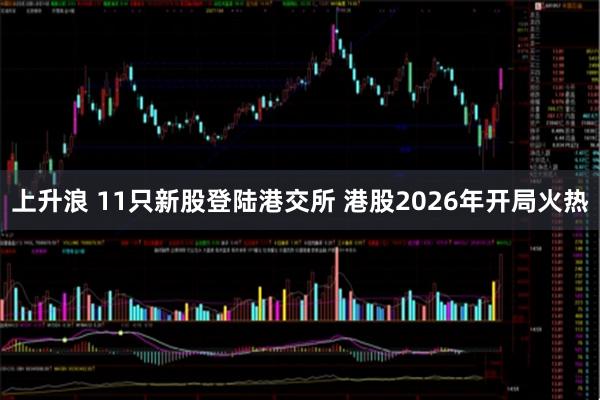 上升浪 11只新股登陆港交所 港股2026年开局火热