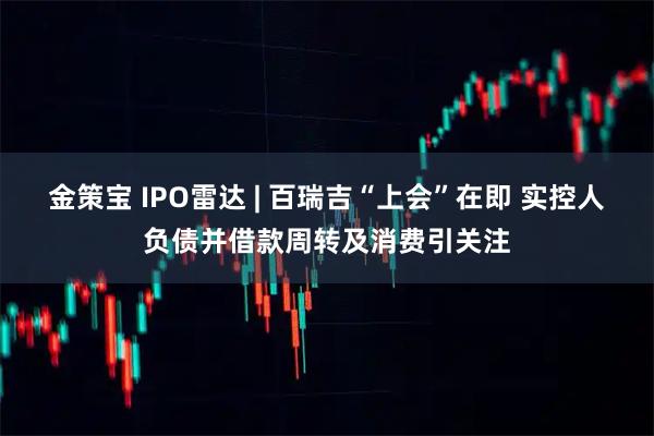 金策宝 IPO雷达 | 百瑞吉“上会”在即 实控人负债并借款周转及消费引关注